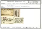 Karteikarte zum Lectotyp von Frondicularia amoena Karrer, 1870